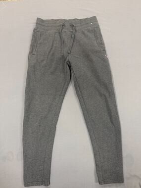 Champion Men’s Gray Sweatpants Joggers Size Medium M Athletic Casual Pants